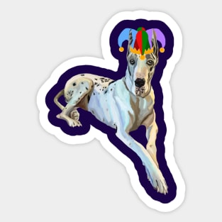 Court Jester Harlequin Great Dane Dog Sticker